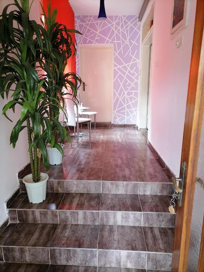 Smestaj U Okviru Domacinstva Sobe Sosa Palić Εξωτερικό φωτογραφία
